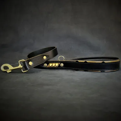 Bestia Custom Dog Gear - La laisse Midas Gold