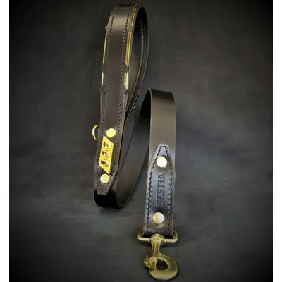 Bestia Custom Dog Gear - La laisse Midas Gold