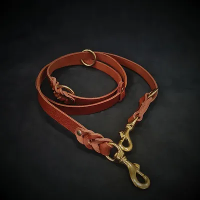 Bestia Custom Dog Gear -Laisse de police multi-usages Bestia Custom Dog Gear -Laisse de police multi-usages