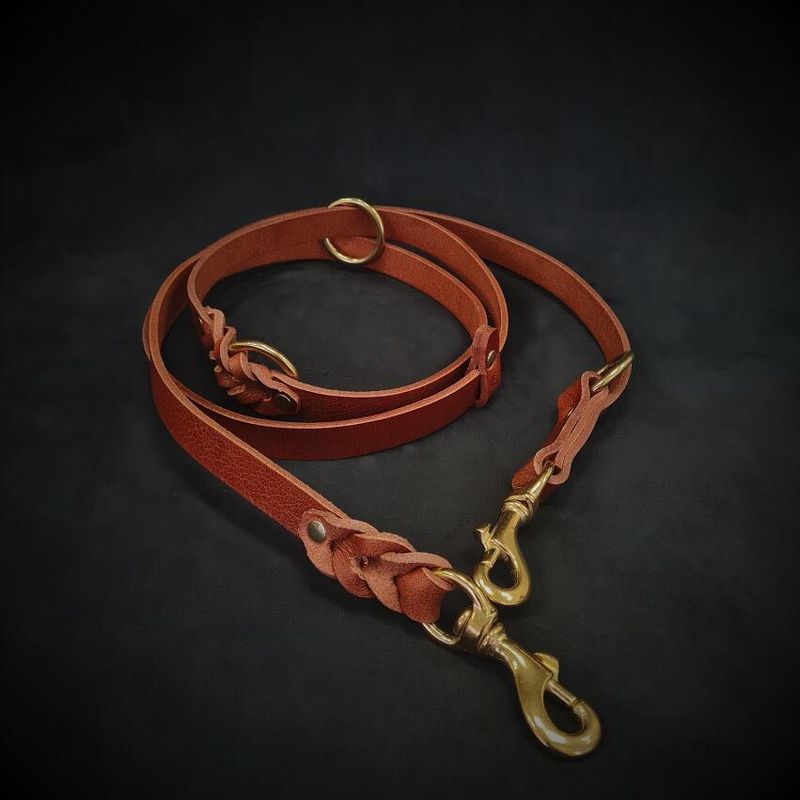Bestia Custom Dog Gear -Laisse de police multi-usages