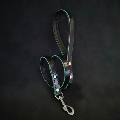 Bestia Custom Dog Gear - La laisse Ariel Turquoise