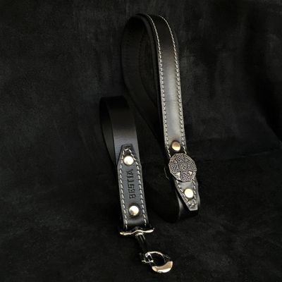La laisse "Maximus Silver"