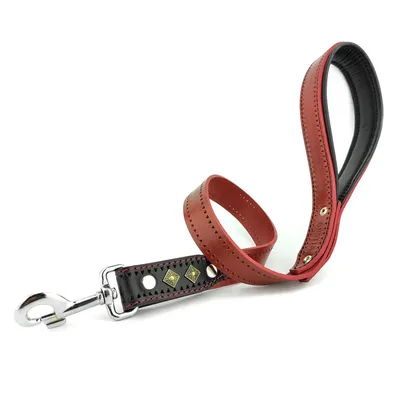 Bestia Custom Dog Gear - La laisse rouge Balteus