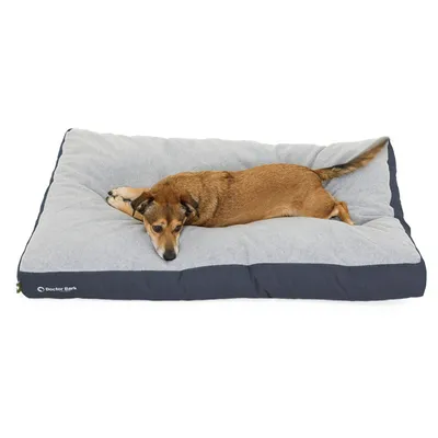 Coussin Lounge Doctor Bark « GreenLabel » Coussin Lounge Doctor Bark « GreenLabel »