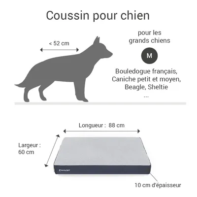 Coussin Lounge Doctor Bark « GreenLabel » Coussin Lounge Doctor Bark « GreenLabel »