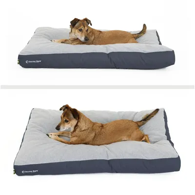 Coussin Lounge Doctor Bark « GreenLabel » Coussin Lounge Doctor Bark « GreenLabel »
