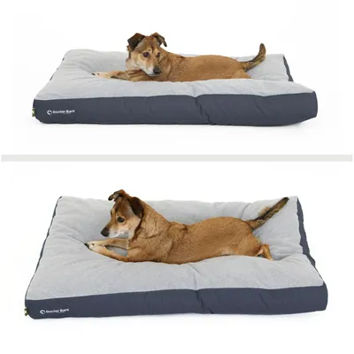 Coussin Lounge Doctor Bark « GreenLabel » Coussin Lounge Doctor Bark « GreenLabel »