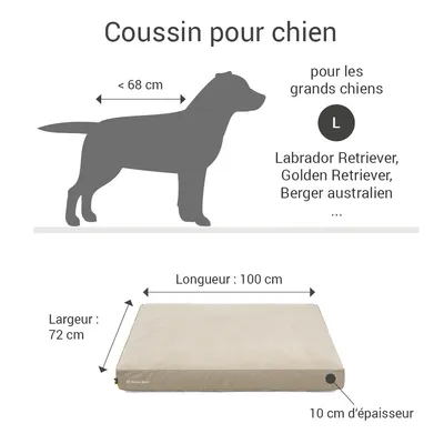 Coussin Lounge Doctor Bark  « GreenLabel »