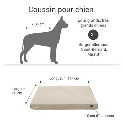 Coussin Lounge Doctor Bark « GreenLabel » Coussin Lounge Doctor Bark « GreenLabel »