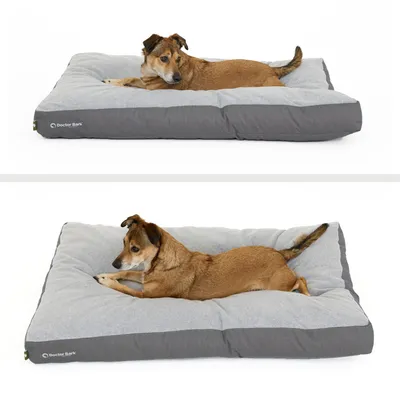 Coussin Lounge Doctor Bark  « GreenLabel »