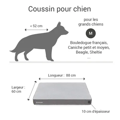 Coussin Lounge Doctor Bark  « GreenLabel »