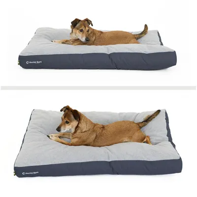 Coussin Lounge Doctor Bark  « GreenLabel »