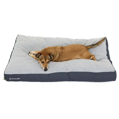 Coussin Lounge Doctor Bark  « GreenLabel »