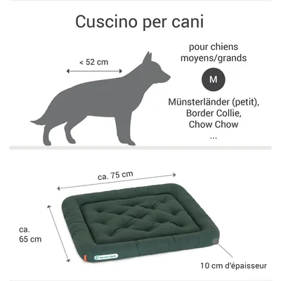 Doctor Bark Coussin orthopédique de salon Doctor Bark Coussin orthopédique de salon