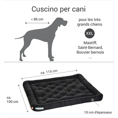 Doctor Bark Coussin orthopédique de salon Doctor Bark Coussin orthopédique de salon