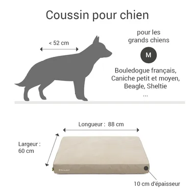 Coussin Lounge Doctor Bark « GreenLabel » Coussin Lounge Doctor Bark « GreenLabel »