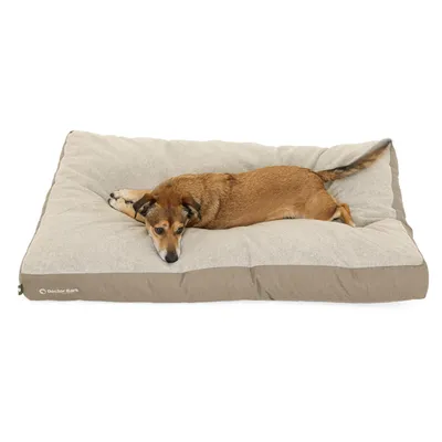 Coussin Lounge Doctor Bark « GreenLabel » Coussin Lounge Doctor Bark « GreenLabel »