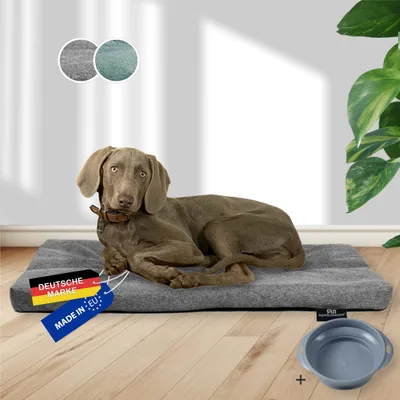 Rohrschneider Oreiller animaux avec tissu d'ameublement