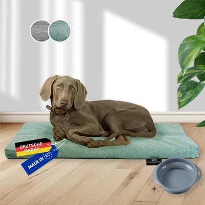 Rohrschneider Oreiller animaux avec tissu d'ameublement