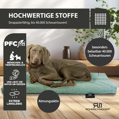 Rohrschneider Tierkissen aus Polsterstoff Rohrschneider Tierkissen aus Polsterstoff