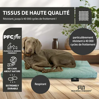 Rohrschneider Oreiller animaux avec tissu d'ameublement Rohrschneider Oreiller animaux avec tissu d'ameublement
