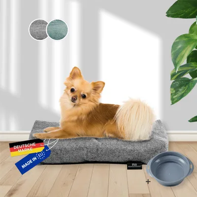 Rohrschneider Oreiller animaux avec tissu d'ameublement