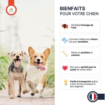 FRANCE CROQUETTES - Friandise pour chien - Pop Dog
