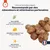 France Croquettes friandise pour chien pop dog