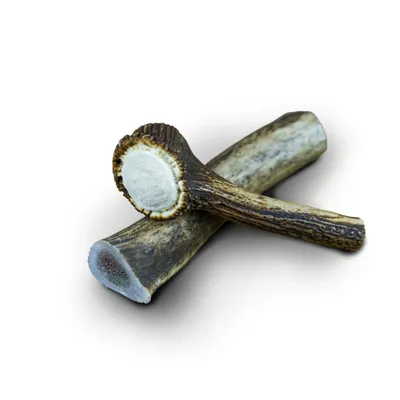 Bois de cerf entier L - Mastication longue chien <30kg Bois de cerf entier L - Mastication longue chien <30kg