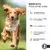 France Croquettes magrets de canard friandise pour chien