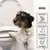 entoVITAL DOG stop&go pour chiens