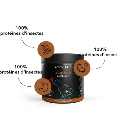 entoVITAL DOG stop&go pour chiens