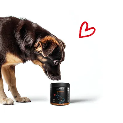 entoVITAL DOG stop&go pour chiens