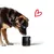 entoVITAL DOG stop&go pour chiens