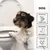 entoVITAL DOG stop&go pour chiens