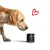 entoVITAL DOG detox pour chiens