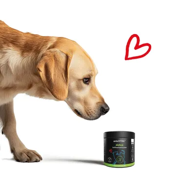 entoVITAL DOG detox pour chiens