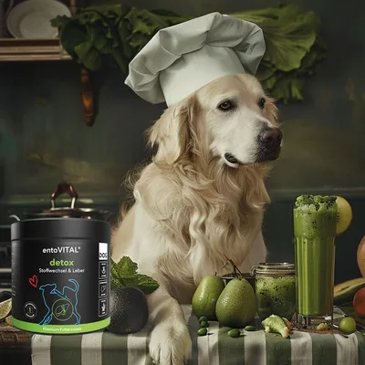 entoVITAL DOG detox pour chiens