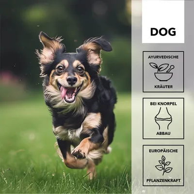 entoVITAL DOG move pour chiens