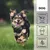 entoVITAL DOG move pour chiens