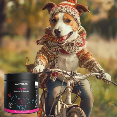 entoVITAL DOG move pour chiens