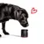 entoVITAL DOG move pour chiens