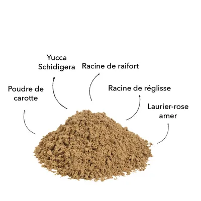 entoVITAL DOG d-para pour chiens