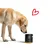entoVITAL DOG d-para pour chiens