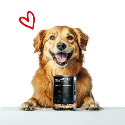 entoVITAL DOG HYPOALLERGENIC nourriture humide