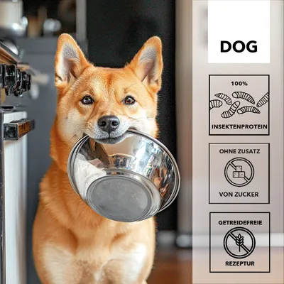 entoVITAL DOG SENSITIV nourriture humide