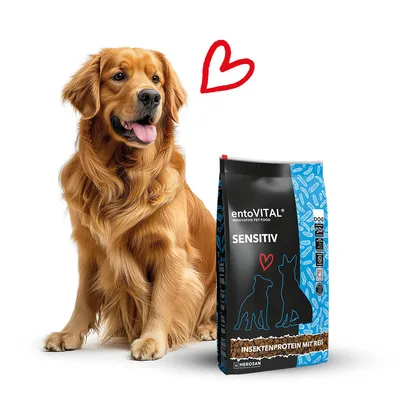 entoVITAL DOG SENSITIV nourriture humide