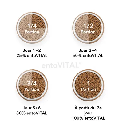 entoVITAL DOG SENSITIV nourriture humide