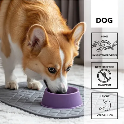 entoVITAL DOG HYPOALLERGENIC nourriture humide