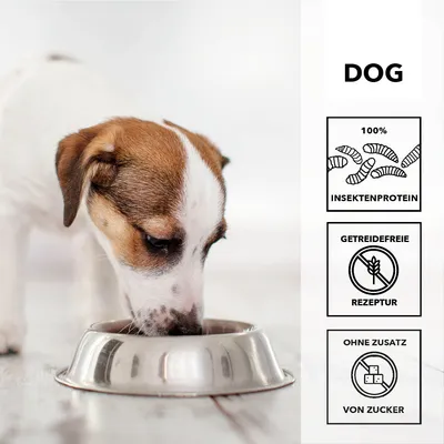 entoVITAL DOG HYPOALLERGENIC pour chiens